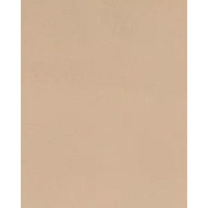 Light Shaping High Waist Everyday Shapewear Brief-Warm Beige/Warm Beige (Pack of 2)