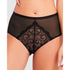 Serena High Waist Tulle & Lace Brief