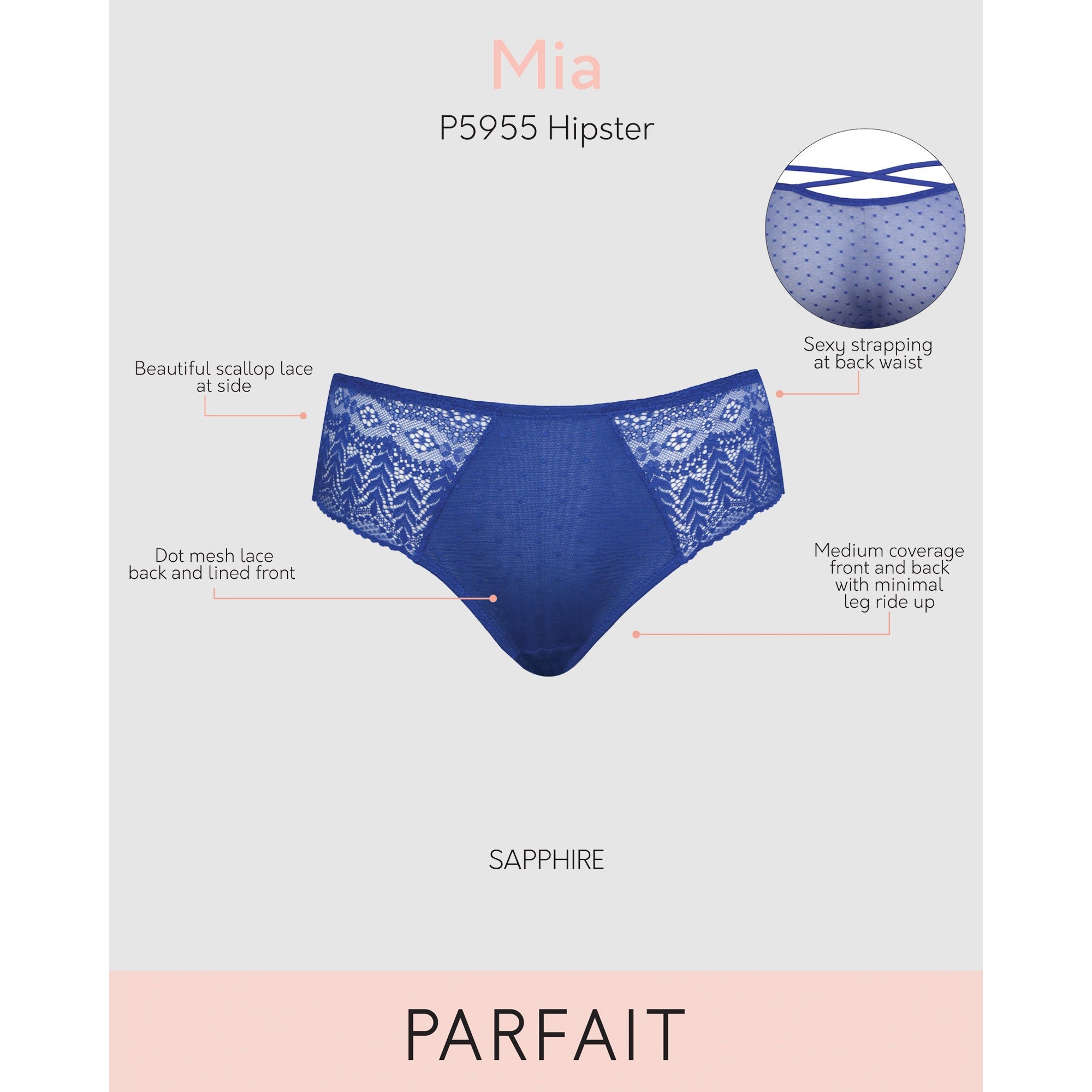 Mia Sheer Mesh & Lace Hipster Brief